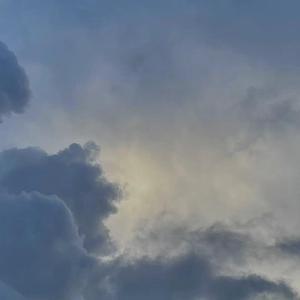 伊人蕉久电影在线
