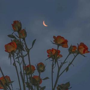 伊人蕉久电影在线
