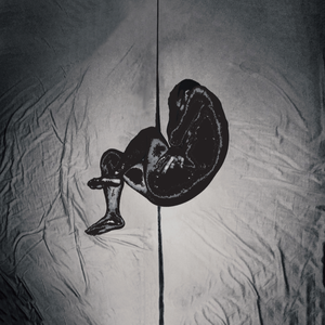 伊人蕉久电影在线
