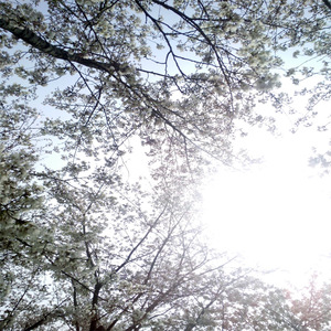 伊人蕉久电影在线
